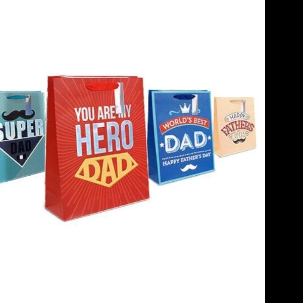 BOLSA GDE. CABALLERO DIPAK PZA